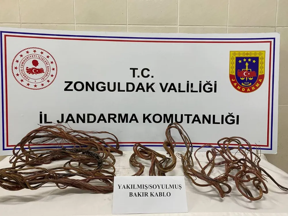 Karamanda Hırsızlık