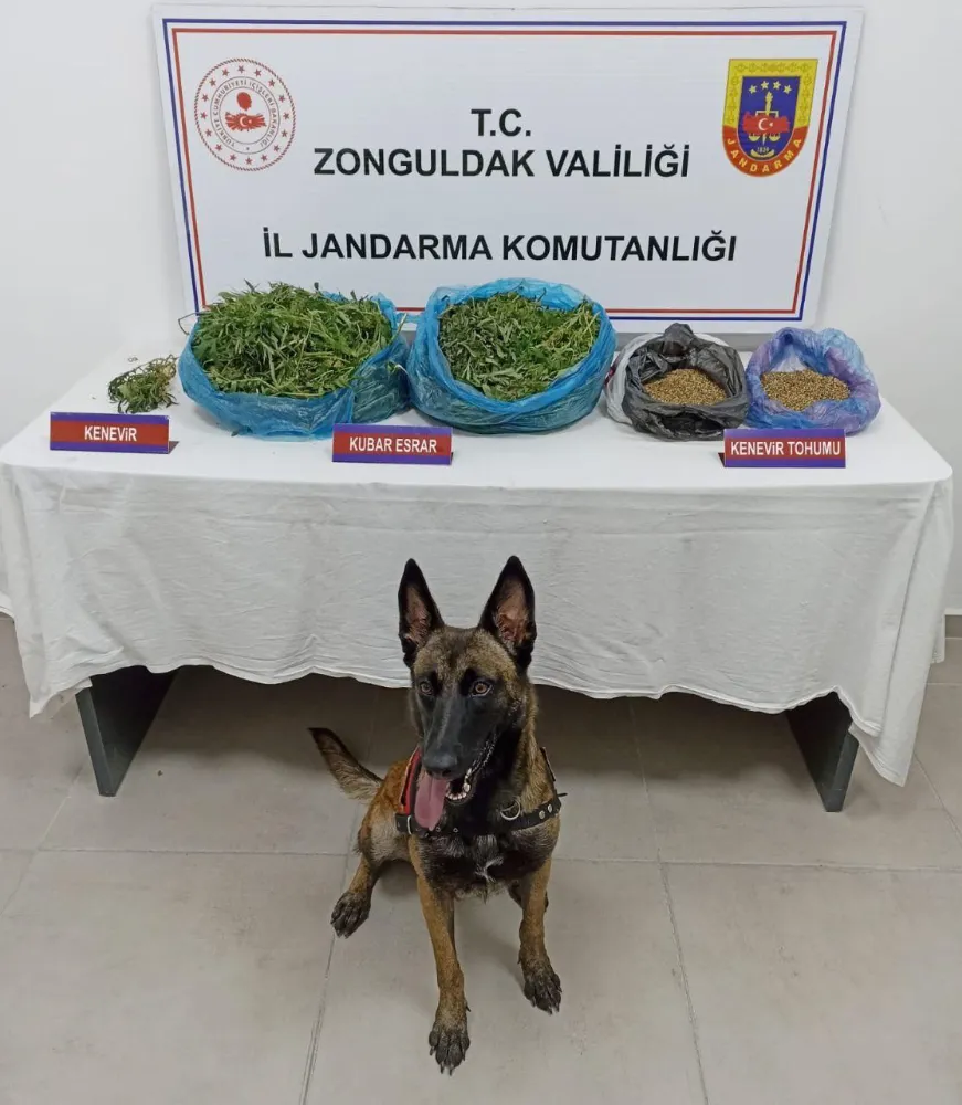 Zonguldak İl Jandarma Komutanlığı 