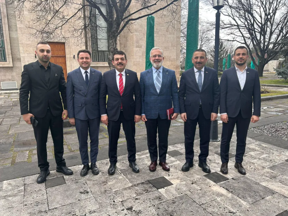 Vali Osman Hacıbektaşoğlu, TBMM