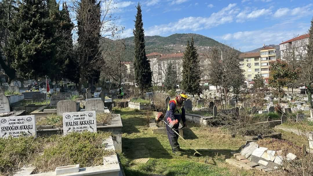 Pırıl Pırıl Bir Devrek...